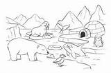 Nordpol Banquise Nord Fernand Polar Ausmalen Animali Esistmeins Arktis Antarctique Malvorlage Polaires Coloriages Arctique Eisbar Pôle sketch template