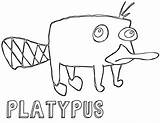 Platypus Coloring Pages sketch template
