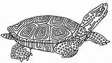 Douce Reptiles Tortues Terrapin Espalda Diamante Imprimible Tortuga Printable Coloriages sketch template