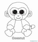 Coloring Ty Beanie Boo Pages Boos Coconut Babies Colorear Para Printable Penguin Color Print Beanies Drawing Dibujos Zum Ausmalbilder Peluches sketch template