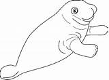 Coloring Manatee Pages Drawing Dugong Cute Drawings Printable Getdrawings Getcolorings Color Doodle sketch template