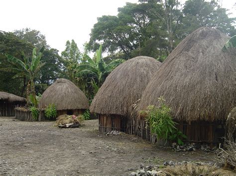 menelusuri papua rumah adat masyarakat papua