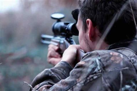 ultimate guide  hunting shot placement pursuing outdoors