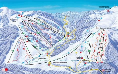 pistekaart skigebiet feldberg alpencams