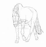 Coloring Pages Breyer Horse Line Comments Library Clipart sketch template
