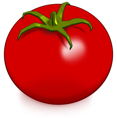 tomato drawing vegetable clip art tomato png