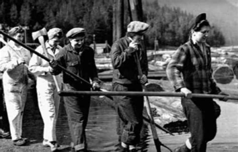 12 Rare Photos Show Oregon S Logging History Like Never Before Big Tree