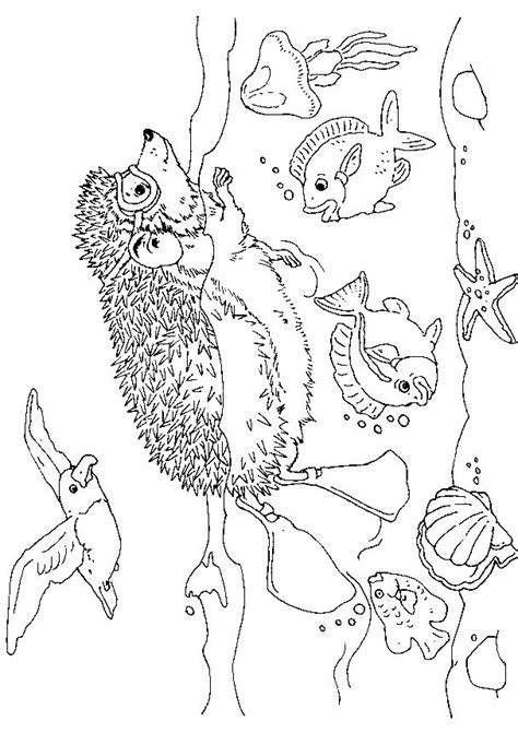 ocean colouring pages  kids clip art library