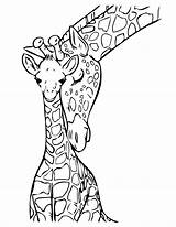 Giraffe Coloring Pages Baby Mom Printable Kids sketch template