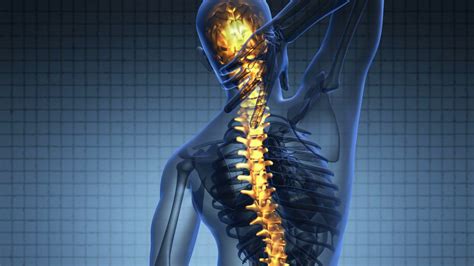 backbone backache science anatomy scan  human spine bones glowing stock video footage