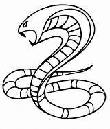 Snake Schlange Getcolorings Lenda sketch template