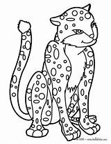 Baby Coloring Leopard Pages Panther Animal Jungle Color Print Drawing Hellokids Getdrawings Coloriage Panthere Getcolorings Dessin Choose Board Animals Colori sketch template