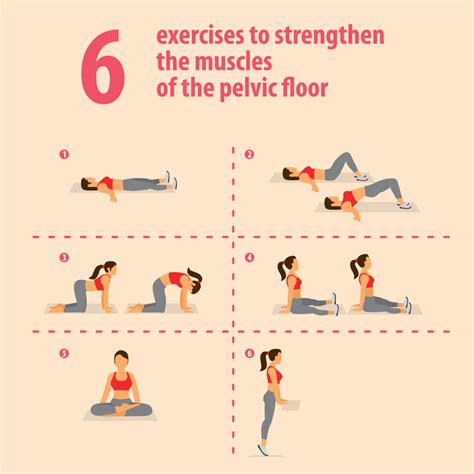 pelvic floor exercises  pelvic wellness original babybellyband