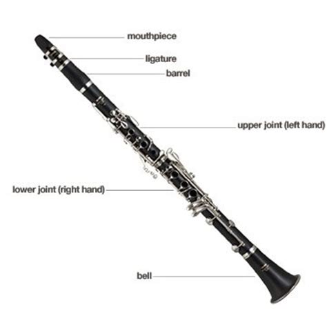 clarinets  beginners      buying