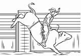 Bull Rodeo Toros Cowboy Monta Toro Jinete Bucking Bulls Designlooter Imprimir Cowboys Supercoloring Coloring sketch template