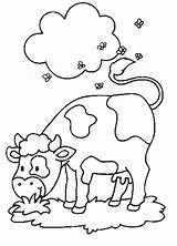 Coloring Pages Cow Color Animal Print Kids Animals Vache sketch template