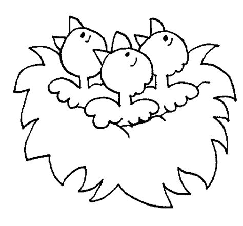 birds nest coloring page coloringcrewcom