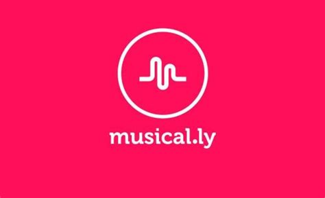 downloader for musically download music ly users profile videos and