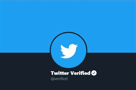 request twitter verification
