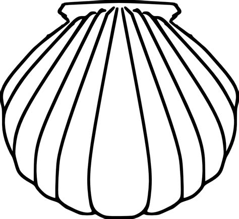 seashell template clipart