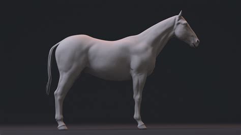 artstation realistic horse  darrell abney