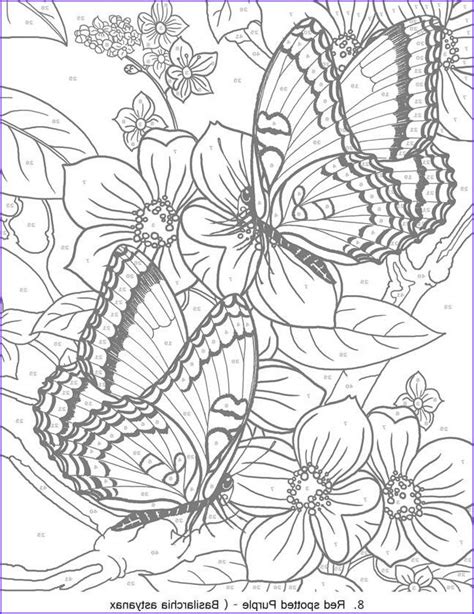 awesome color  number coloring books  adults images butterfly