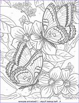 Coloring Color Number Books Pages Butterfly Adults Adult Awesome Amazing Colouring Book Flower Mandala Butterflies Choose Board Deta sketch template