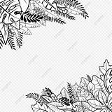 Border Vector Doodle Tropical Frame Plants Background Clipart Vectors sketch template