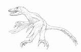 Coloring Pages Dinosaur Troodon Deinonychus Feathered Template Anthony Raptor Bicycle sketch template