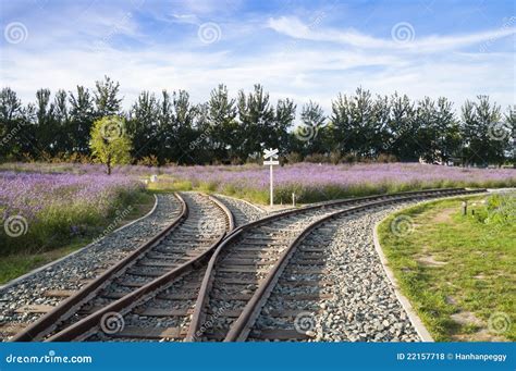 railroad junction royalty  stock  image