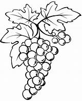 Grapes Bunch Uva Colorir Cricut sketch template