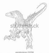 Utahraptor Coloring sketch template