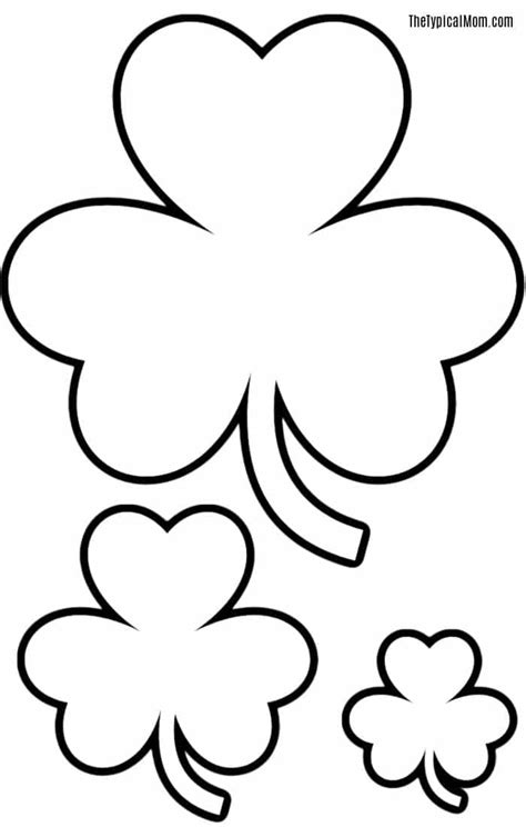 printable shamrock coloring pages  typical mom