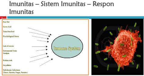 Sistem Imunitas Kekebalan Tubuh Manusia Pintar Biologi