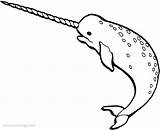 Narwhal Coloring Printable Pages Print Xcolorings Noncommercial Individual Only Use sketch template