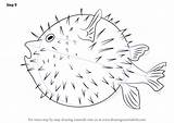 Pufferfish Fishes Improvements Necessary Drawingtutorials101 sketch template