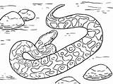 Snake Coloring Pages Anaconda Viper Rattlesnake Scary Dodge Ninjago Color Colouring Snakes Printable Getcolorings Diamondback Animal Getdrawings Sheet Sheets Colorings sketch template