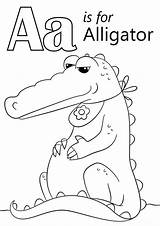 Alligator Printable Everfreecoloring Toddlers Abc Coloringareas sketch template