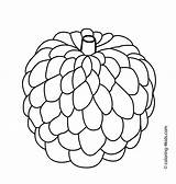 Coloring Pages Fruits Apple Custard Kids Fruit Printable Clipart Guava Drawing Colouring Outline Cliparts Books Color Printables Apples Print Food sketch template