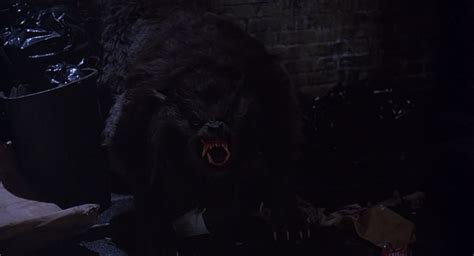 an american werewolf in london scarina s scary vault of