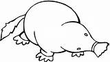 Mole Coloring Pages Clipart Categories sketch template