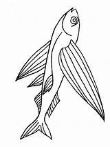 Flying Fish Coloring Pages Kids Color Recommended sketch template