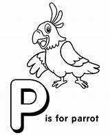 Coloring Letter Parrot Print English sketch template