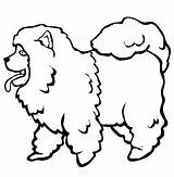 Chow Coloring Poodle Head Template sketch template