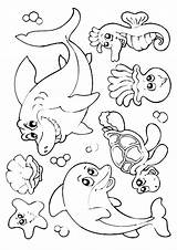 Sea Coloring Pages Printable Under Animals Creatures Getdrawings Ocean Realistic Underwater sketch template