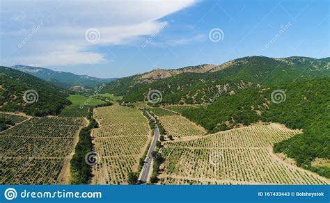 aerial view  beautiful farming fields  growing plants  blue cloudy sky background shot