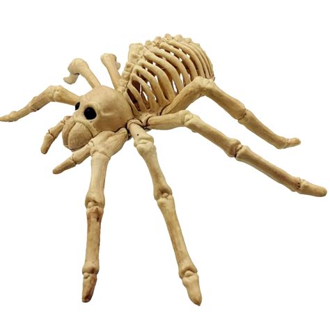 buy lifelike horrified vivid spider skeleton model toy creative frightening