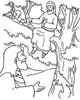 Zacchaeus Coloring Jesus Pages Bible Tree Crafts Preschool Story School Craft Kids Activities Zaccheus Para Sunday Clipart Zaqueo Sheets Zacheus sketch template