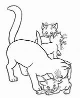 Mutter Katzen Babys Ausmalbild Katze Ausmalbilder Benutzen Genügt Webbrowser Ordnung Sein Zu sketch template