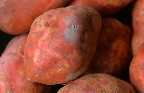 sweet potato haleo